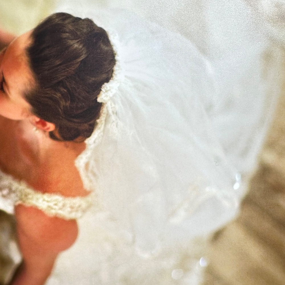 Pronovias Wedding Gown and Veil —Museum quality sealed - Picture 8 of 9